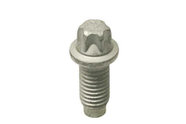 Torx Bolt