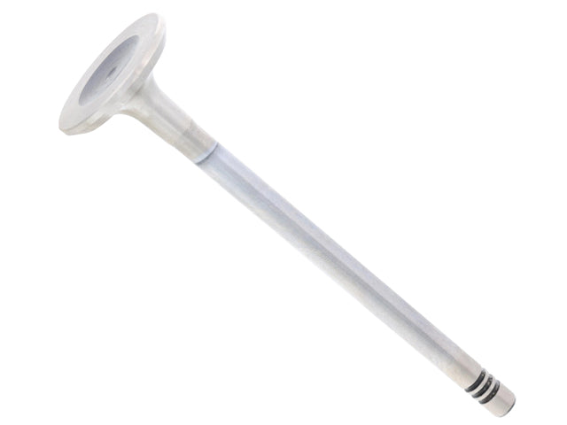 Exhaust Valve