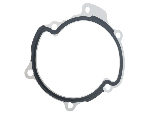 Water Pump Gasket