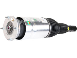 Strut - AM42 EuroCars