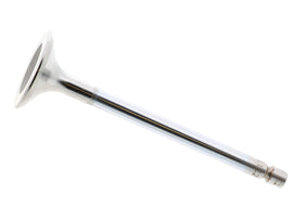Intake Valve