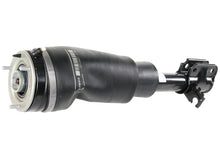 Load image into Gallery viewer, Strut