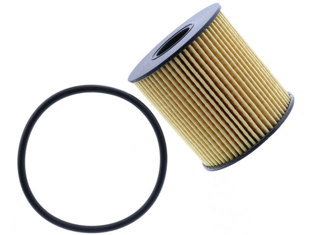 Oil Filter Kit