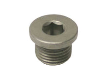 Load image into Gallery viewer, Engine Oil Drain Plug