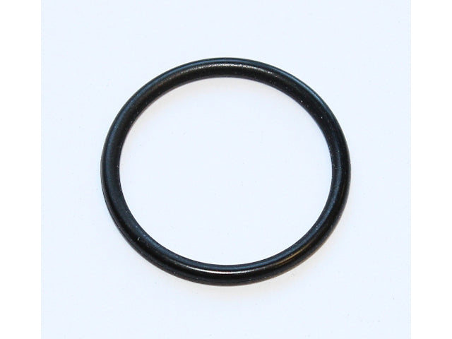 Camshaft Adjuster Seal