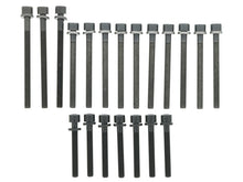 Load image into Gallery viewer, Bolt Set