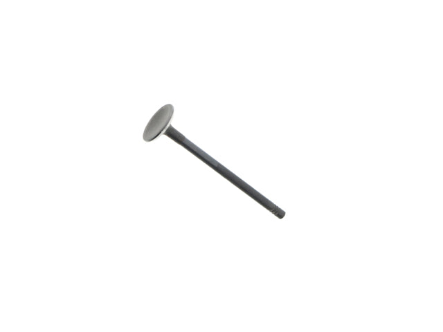 Exhaust Valve