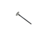 Exhaust Valve
