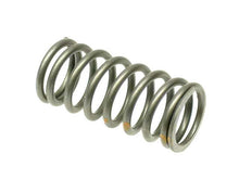 Load image into Gallery viewer, Valve Spring