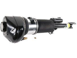 Strut - AM42 EuroCars