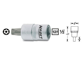 Socket - AM42 EuroCars