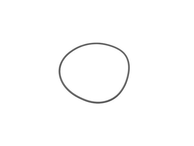 O-Ring