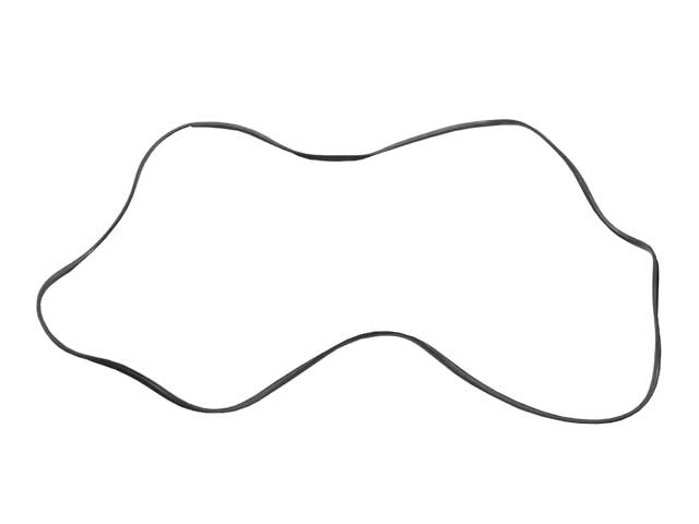 Windshield Seal