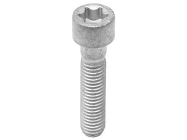 Screw