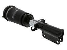 Load image into Gallery viewer, Strut