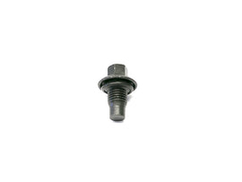 Engine Oil Drain Plug