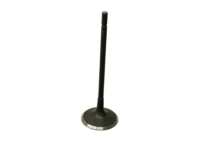 Intake Valve