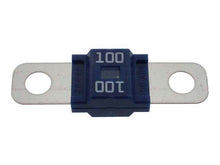 Load image into Gallery viewer, Fuse - 100 Amp
