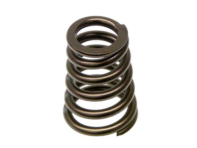 Valve Spring