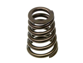Valve Spring