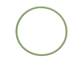 Fuel Filter O-Ring