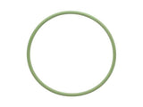 Fuel Filter O-Ring