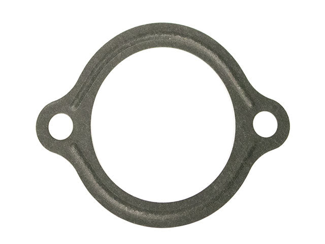Thermostat Seal