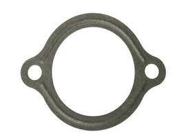 Thermostat Seal