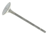 Exhaust Valve