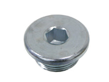 Load image into Gallery viewer, Engine Oil Drain Plug
