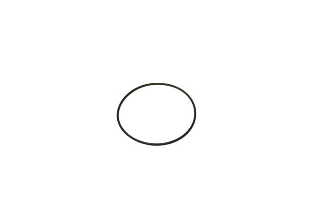 Thermostat O-Ring