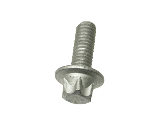 Crankcase Bolt