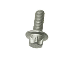 Crankcase Bolt