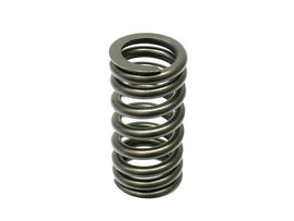 Valve Spring