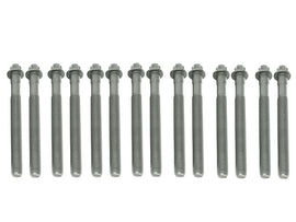 Cylinder Head Bolt Set