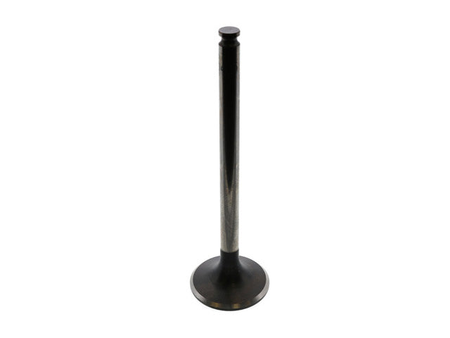 Exhaust Valve