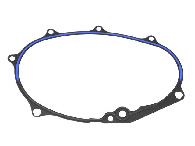 Timing Chain Cover Gasket