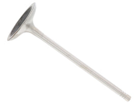 Intake Valve