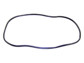 Windshield Seal