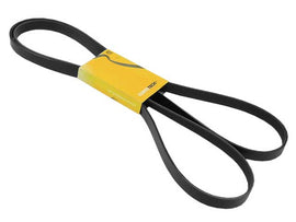 Belt 6K X 2475 - AM42 EuroCars