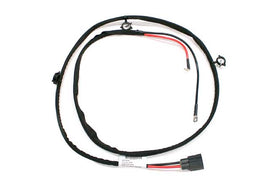 Harness - AM42 EuroCars