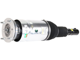 Strut - AM42 EuroCars