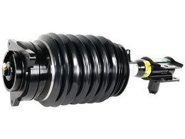 Air Suspension Strut - AM42 EuroCars