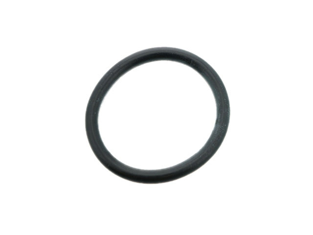 Engine Oil Pump O-Ring
