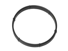 Thermostat Seal