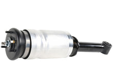 Load image into Gallery viewer, Strut