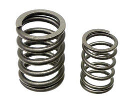 Valve Spring Set