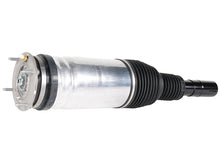 Load image into Gallery viewer, Strut