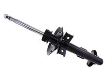 Load image into Gallery viewer, Strut