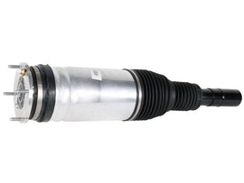 Suspension Strut Assembly